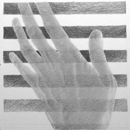 NAS ENTRELINHAS DO DESENHO
